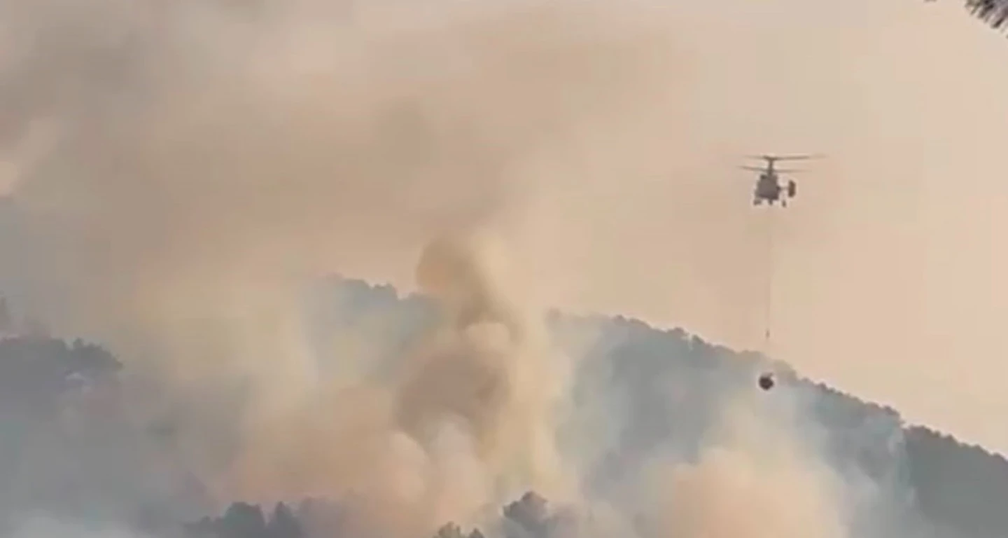 Bolu’nun Göynük ilçesinde ormanlık alanda yangın çıktı