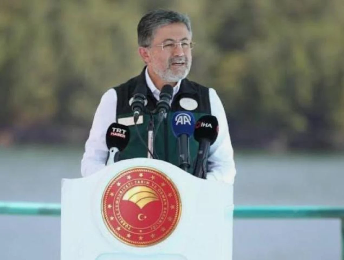 Palamut ve torik av sezonu küçük ölçekli balıkçılar için 15 Ağustos'ta başlayacak
